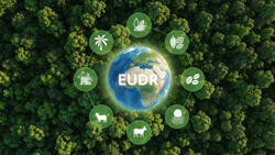 EUDR und digitaler Produktpass EUDR und digitaler Produktpass